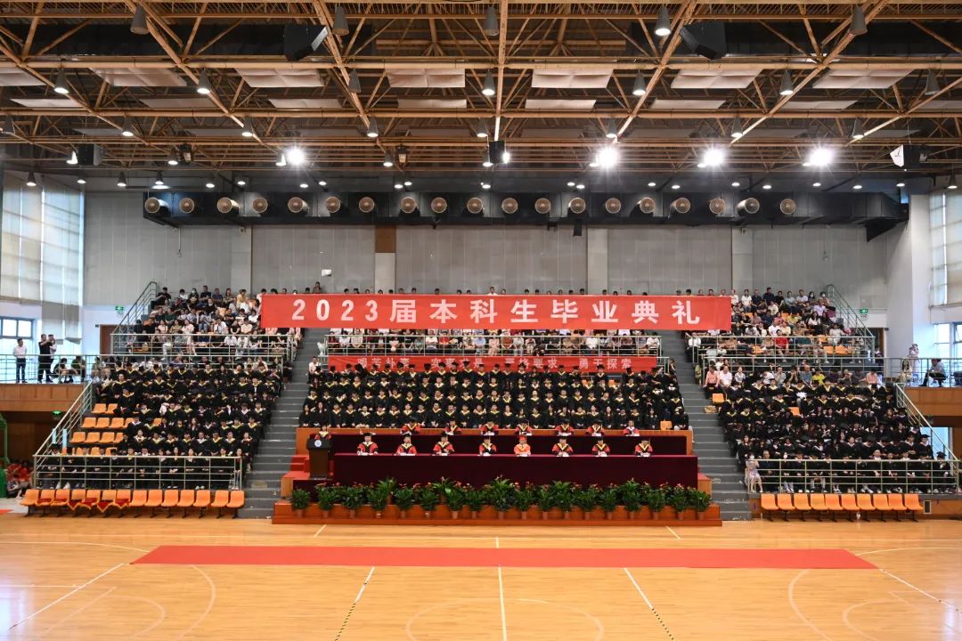 DSC_0908.JPG 图片